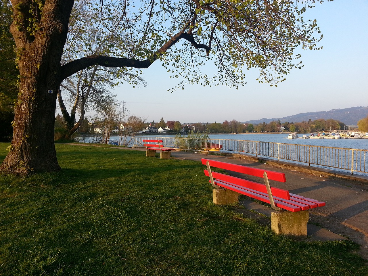 国足在本场 国足在本场