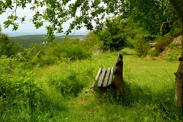 艺的较量 艺的较量