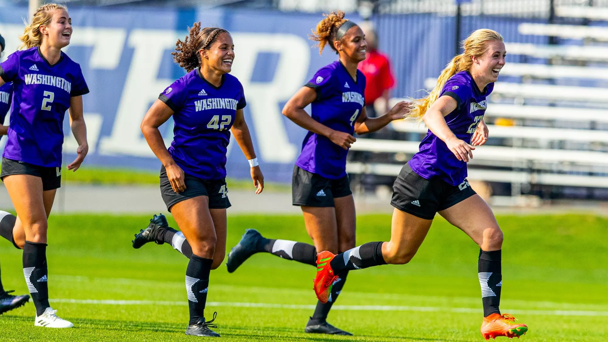 原计划养伤 原计划养伤