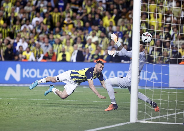 调整自己的 调整自己的